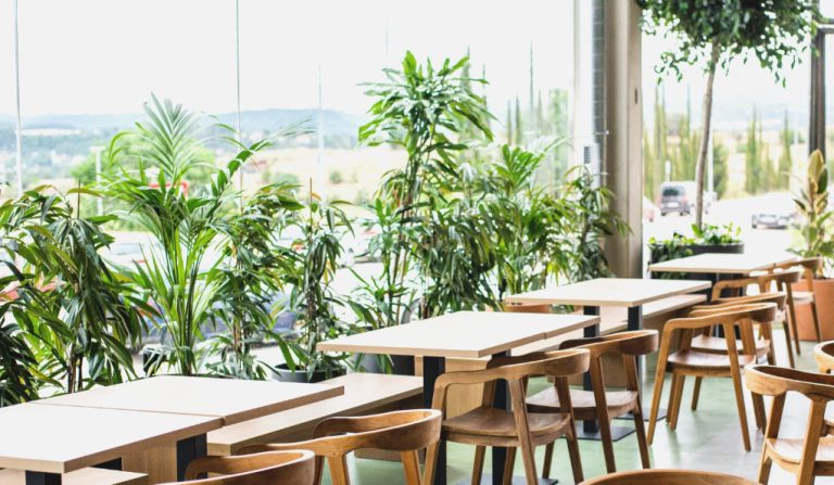 tasador de oficinas Tenerife