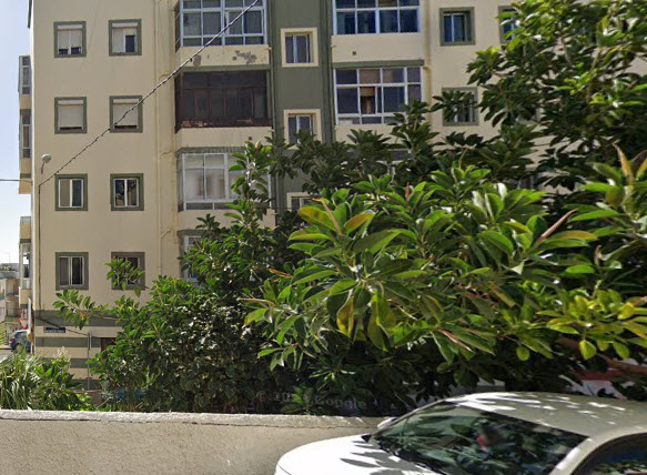 tasador de pisos Las Palmas