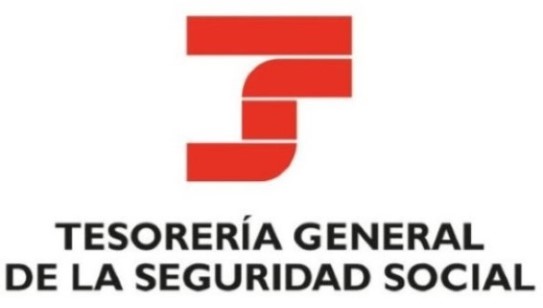 tasador de pisos Seguridad Social Ciudad Real 